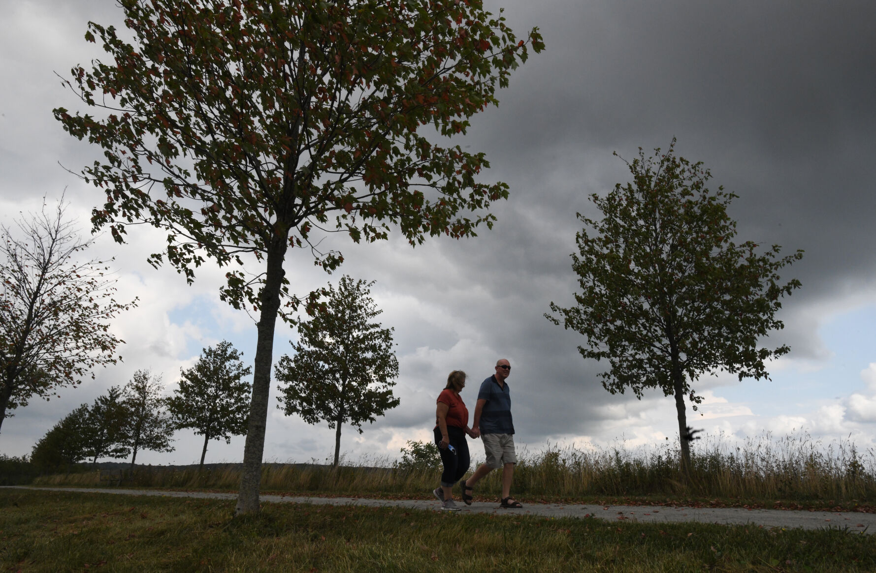 Flight 93's Allee Trail